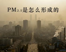 PM2.5是怎么形成的？